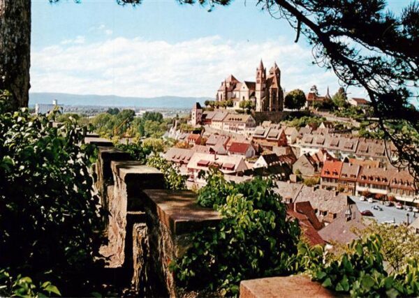 Breisach Rhein Panorama mit Stephansmuenster