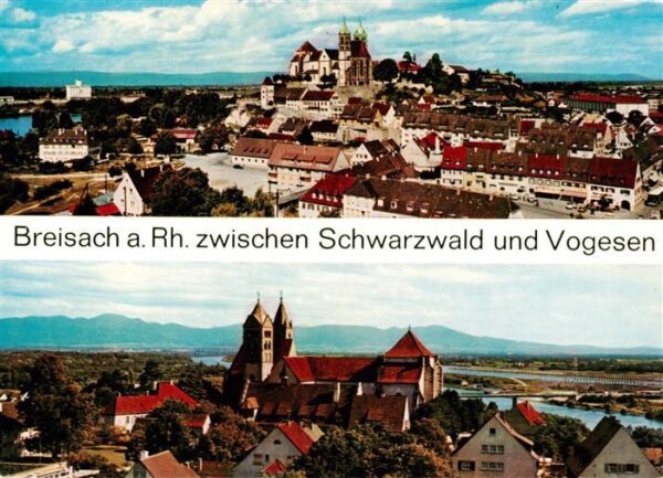 Breisach Rhein Panorama mit Stephansmuenster