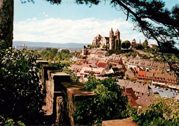 Breisach Rhein Panorama Blick vom Eckartsberg