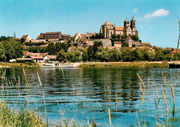 Breisach Rhein Partie am Rhein Blick zum St. Stephansmuenster