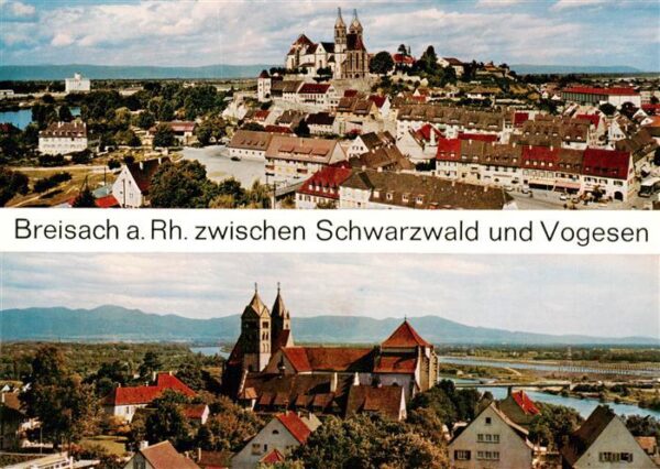Breisach Rhein Stadtpanorama Blick zum Muenster
