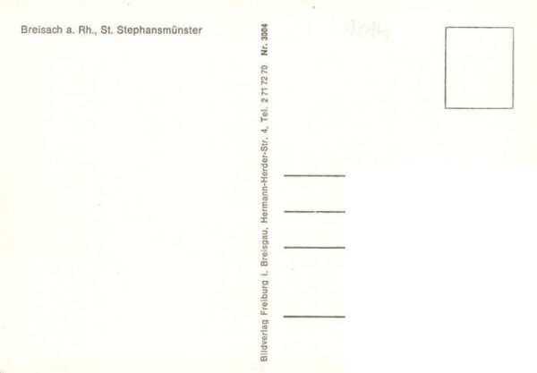 Breisach Rhein Ansicht mit St. Stephansmuenster – Bild 2