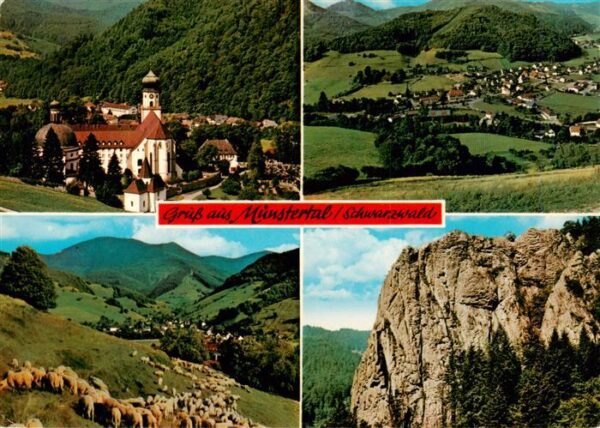 Muenstertal  Schwarzwald St Trudpert Fliegeraufnahme Schafherde Felsen