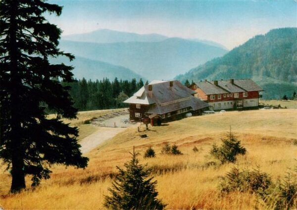 Feldberg 1450m Schwarzwald Todtnauerhuette