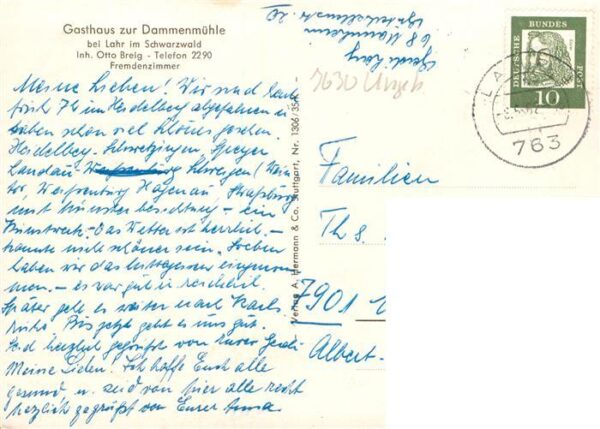 Lahr Baden Gasthaus Dammenmuehle Gondelteich – Bild 2