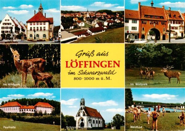 Loeffingen Rathausplatz Mailaender Tor Wildpark Rehe Hirsche Festhalle Schneekre
