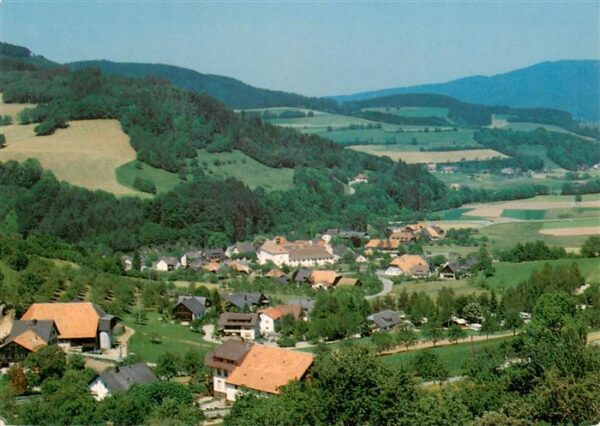 Oberried  Breisgau Schwarzwald Fliegeraufnahme
