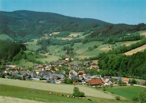 Oberried  Breisgau Schwarzwald Fliegeraufnahme