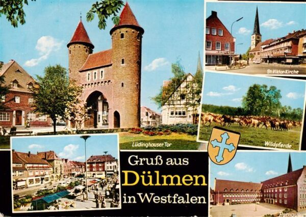 Duelmen Luedinghauser Tor St Viktor Kirche Wildpferde Markt Rathaus