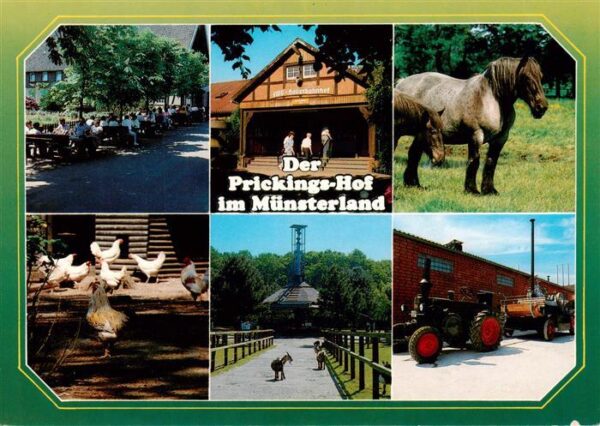 Sythen Haltern Europahof Prickingshof im Muensterland