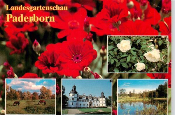 Paderborn Schloss Neuhaus Park Gondelteich