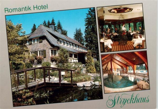 Willingen Sauerland Romantik Hotel Stryckhaus Gastraum Hallenbad Park
