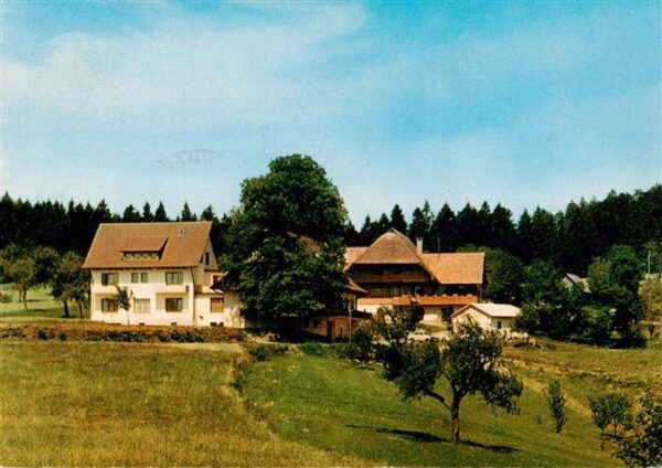 Haslach Kinzigtal Hoehengasthof Nillhof