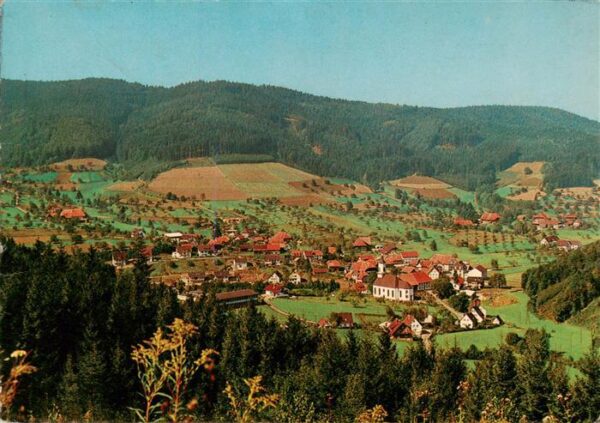 Hofstetten Kinzigtal Gasthof Pension Drei Schneeballen Panorama