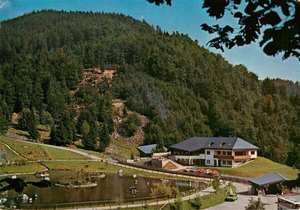 Todtnau Berg Wild Park Steinwasen