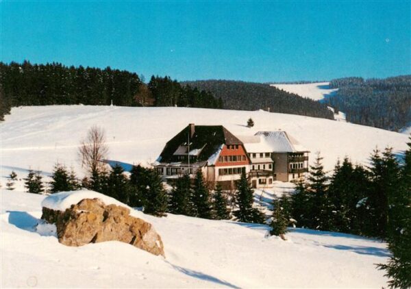 Todtnauberg Jugendherberge Fleinerhaus Panorama