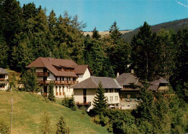 Todtnauberg Hotel Herrihof