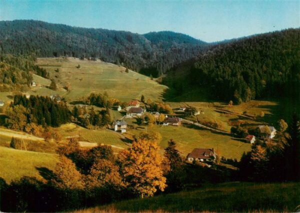 Ruette Todtmoos Panorama