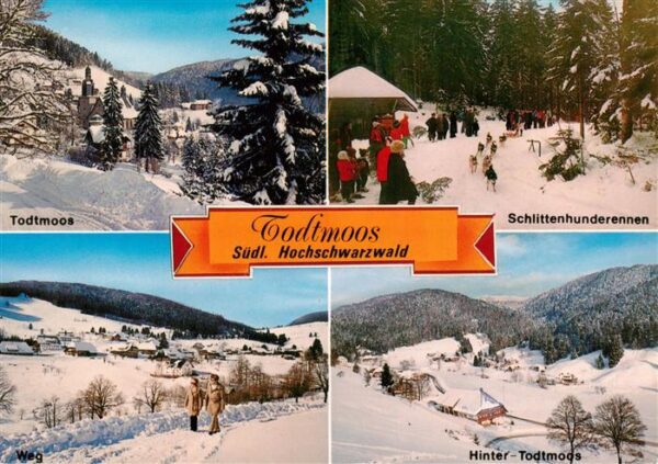 Todtmoos Panorama Schlittenhunderennen Winterspaziergang Hinter Todtmoos