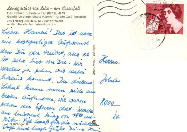 Triberg Landgasthof zur Lilie am Wasserfall Gastraeume Panorama Terrasse – Bild 2