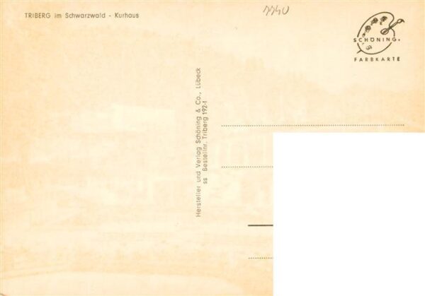 Triberg Kurhaus – Bild 2