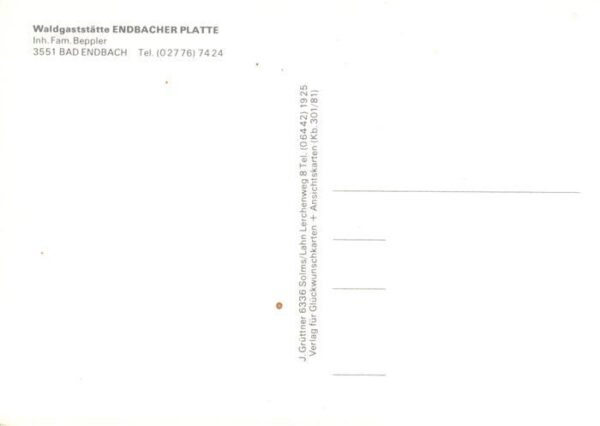 Bad Endbach Waldgaststaette Endbacher Platte Gastraum – Bild 2