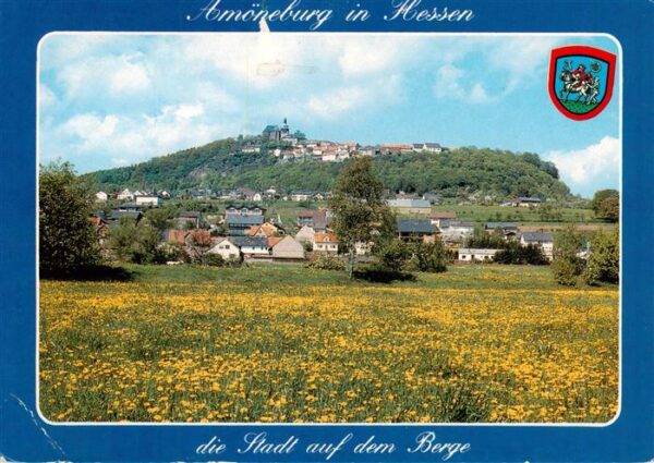 Amoeneburg Panorama mit Schloss und Kirche