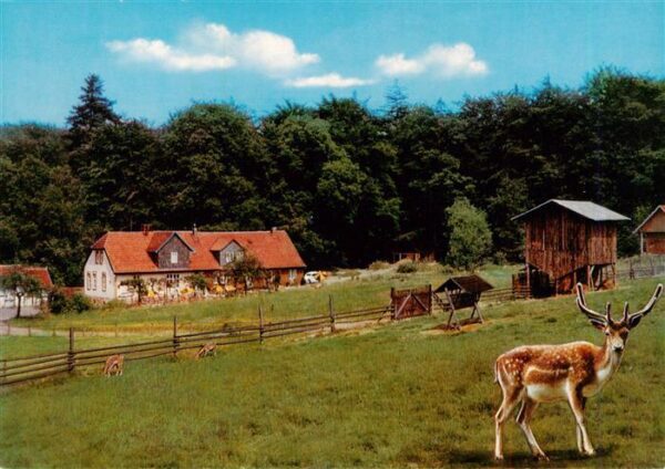 Muenden Werra Waldgaststaette Rinderstall Wildgehege Waldmuseum