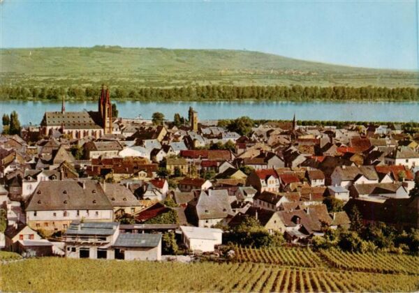 Geisenheim Rheingau Panorama
