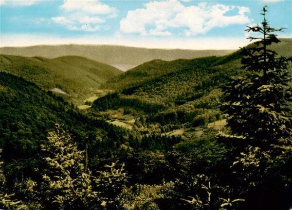 Wallau Lahn Biedenkopf Panorama Blick ins Hainbachtal