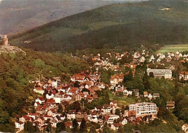 Falkenstein Taunus Fliegeraufnahme