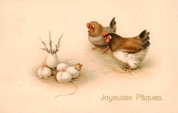 Verlag Amag Nr. 1116 Ostern Huehner Eier Kuecke