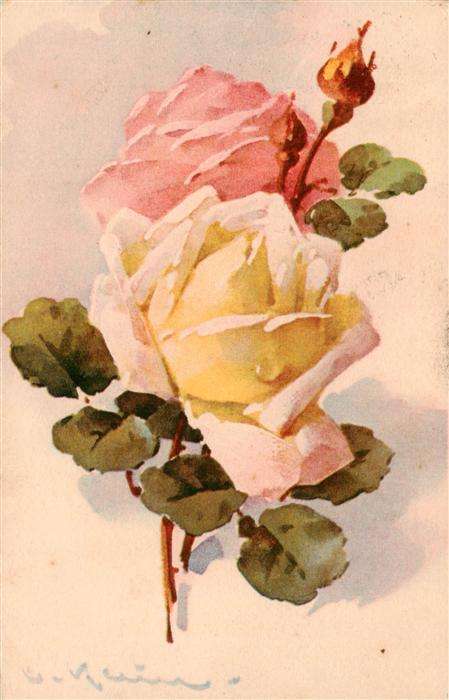 Klein Catharina Kuenstlerlitho Nr. 4970 Serie 334 Rosen
