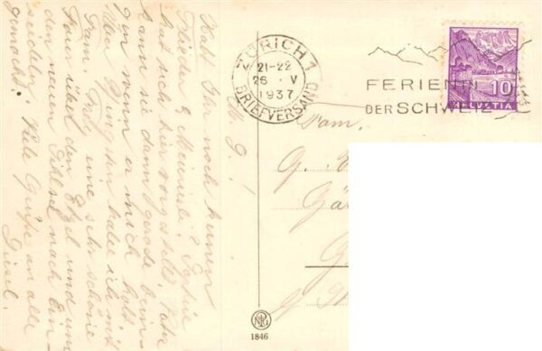Foto NPG Nr. 1846 Pferd Vollblut-Hengst – Bild 2