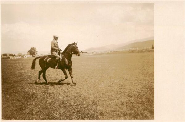 Pferde Horses Cheval Leonar 3202 Reiten