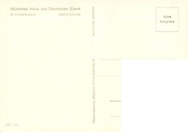 Haus der Deutschen Kunst Verlag HDK Nr. 563 Die Erbluehende M. Alfred Brumme – Bild 2