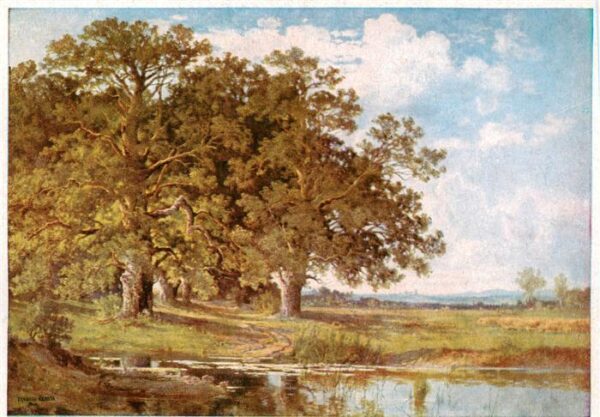 Haus der Deutschen Kunst Verlag HDK Nr. 218 Eichen am Wasser Fritz Halberg-Kraus