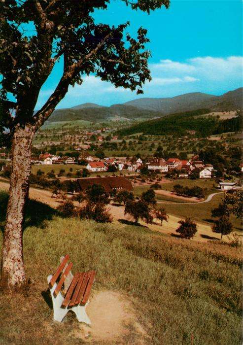 Zell Harmersbach Panorama
