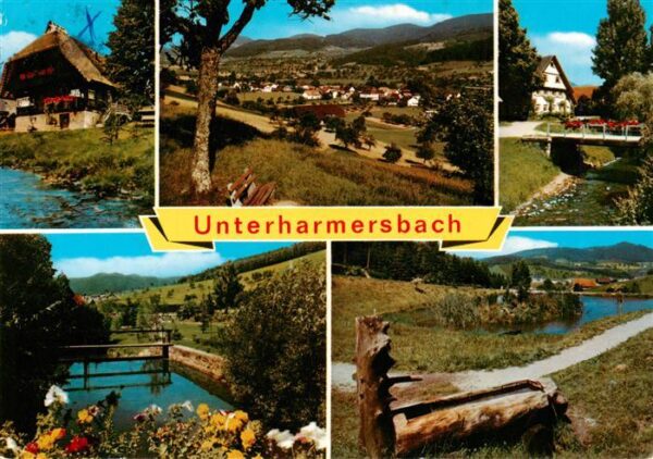Unterharmersbach Schwarzwaldhaus Panorama Harmersbachpartien