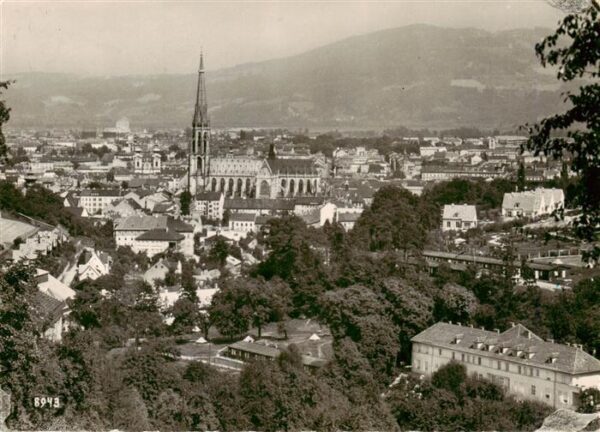 Linz Donau AT Panorama