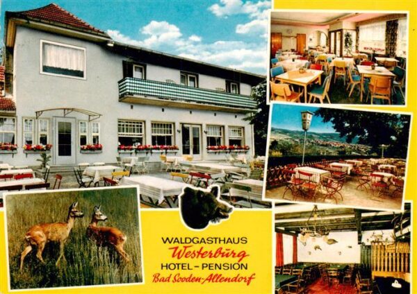 Bad Sooden-Allendorf Waldgasthaus Westerburg Gastraeume Terrasse Rehe