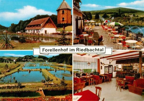Hilgershausen Witzenhausen Forellenhof im Riedbachtal Terrasse Gastraum Forellen
