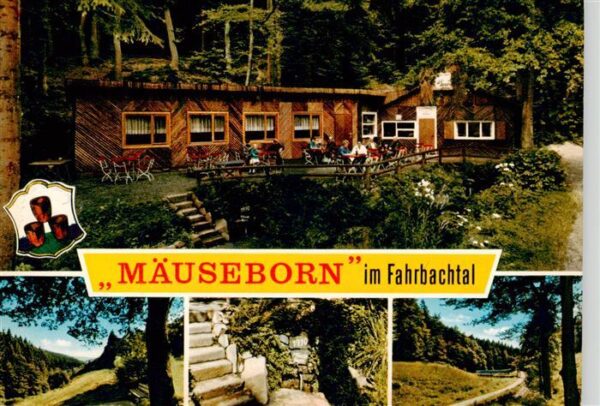 Grossalmerode Rasthaus Waldschloesschen am Maeuseborn Teilansichten