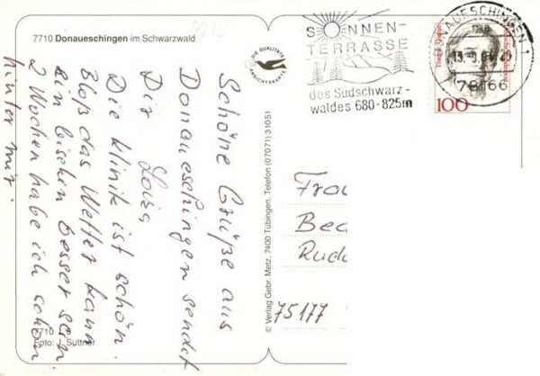 Donaueschingen Park Rathaus Brunnen Schloss – Bild 2