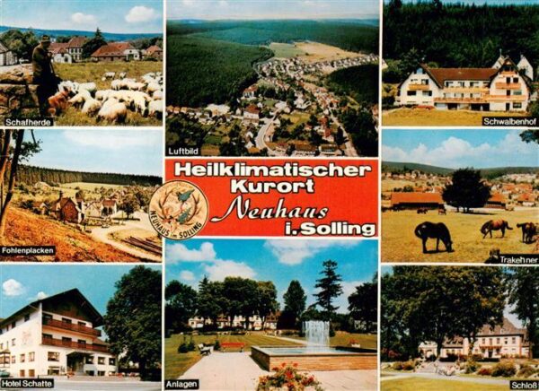 Neuhaus Solling Schafherde Fohlenpacken Hotel Schwalbenhof Trakehner Schloss Par