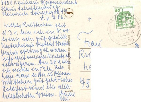 Neuhaus Solling Schafherde Fohlenpacken Hotel Schwalbenhof Trakehner Schloss Par – Bild 2