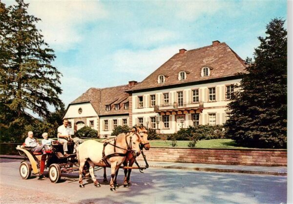 Neuhaus Solling Schloss Pferdekutsche