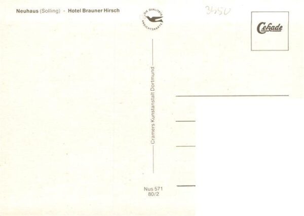 Neuhaus Solling Hotel Brauner Hirsch Fachwerkhaus – Bild 2