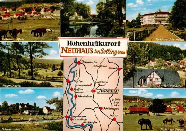 Neuhaus Solling Parkhotel Duesterdiek Dorfteich Trakehner Pferde Holzmindetal Fr