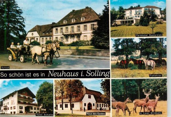 Neuhaus Solling Parkhotel Duesterdiek Schloss Trakehner Pferde Hotel Haus des Ga